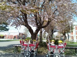 分園げんき！